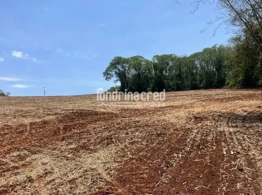 Sítio, 19 hectares - Foto 2