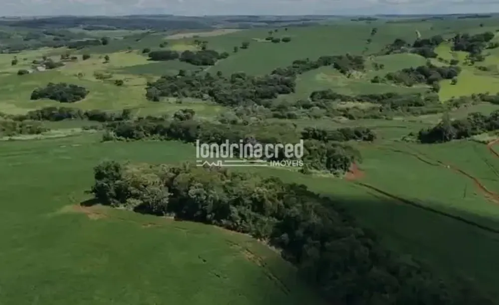 Sítio, 19 hectares - Foto 7