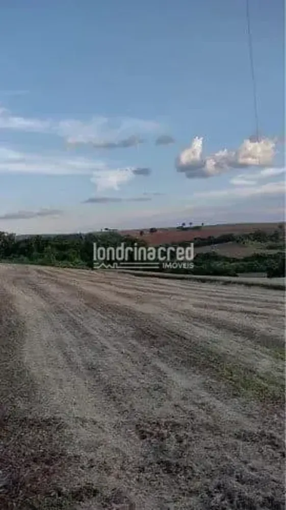 Sítio, 19 hectares - Foto 3