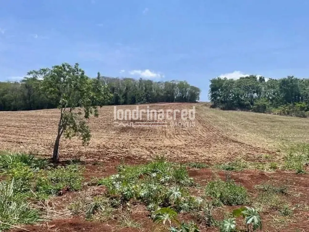 Sítio, 19 hectares - Foto 1