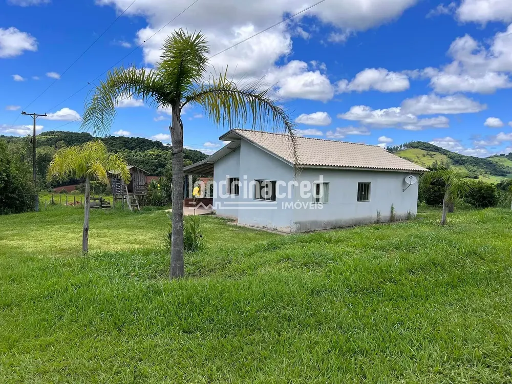Sítio, 4 quartos, 8 hectares - Foto 7