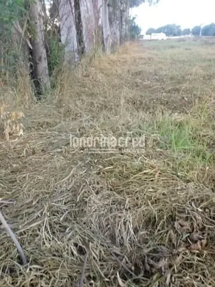 Terreno, 10 m² - Foto 4