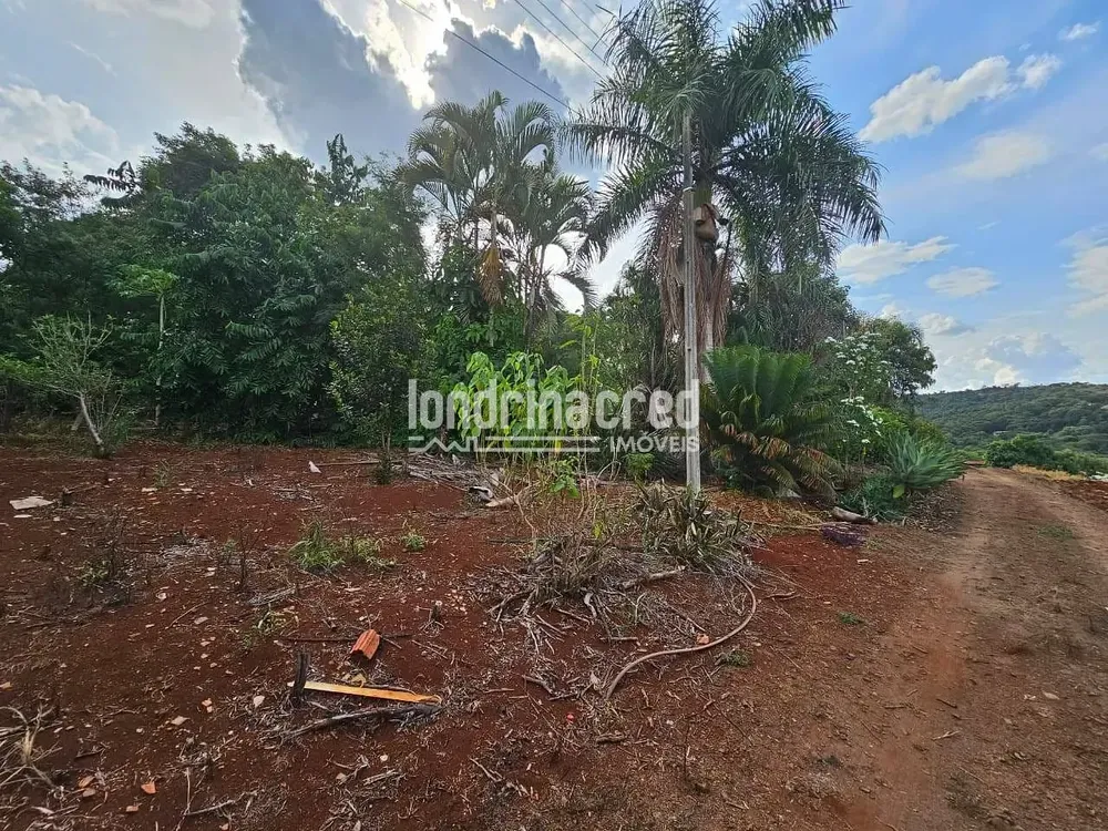 Chácara, 1 quarto, 10000 m² - Foto 2