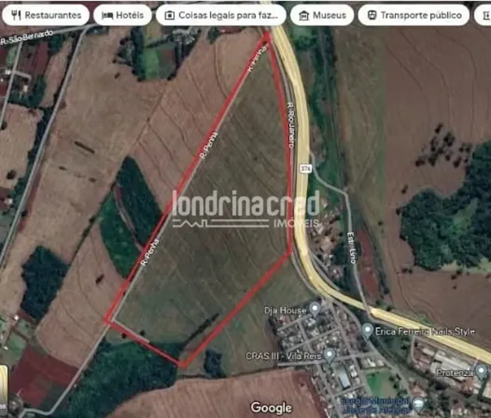 Terreno, 2 hectares - Foto 3
