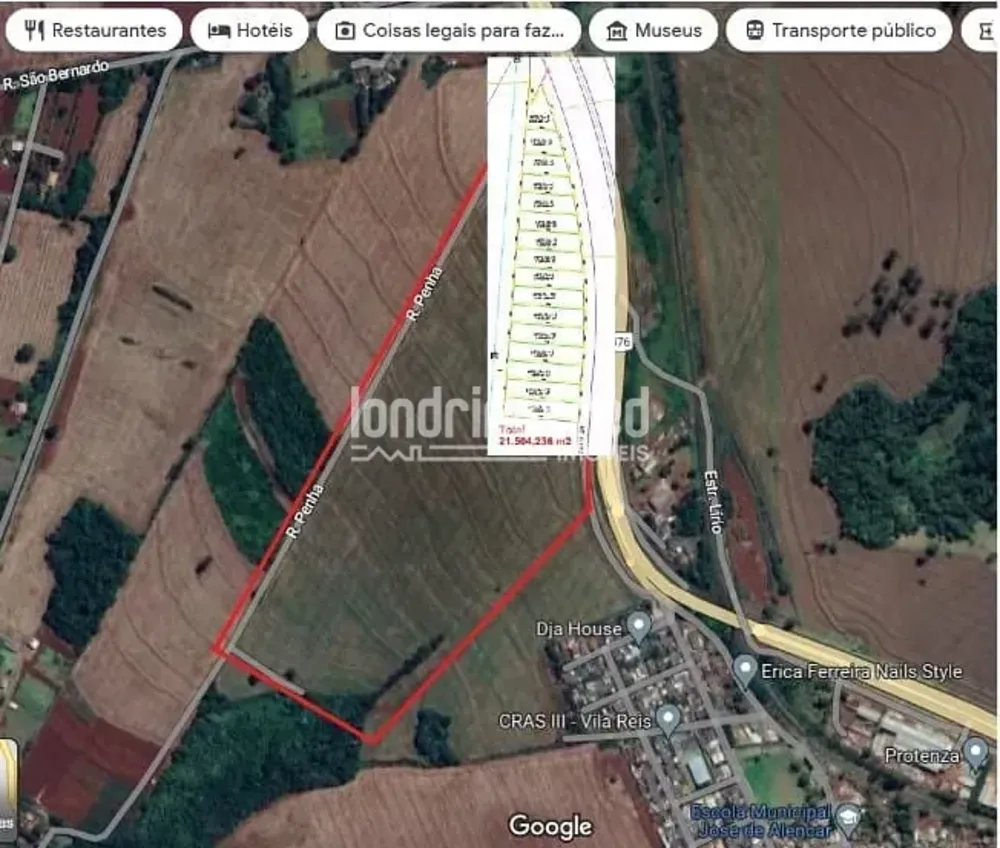 Terreno, 2 hectares - Foto 2
