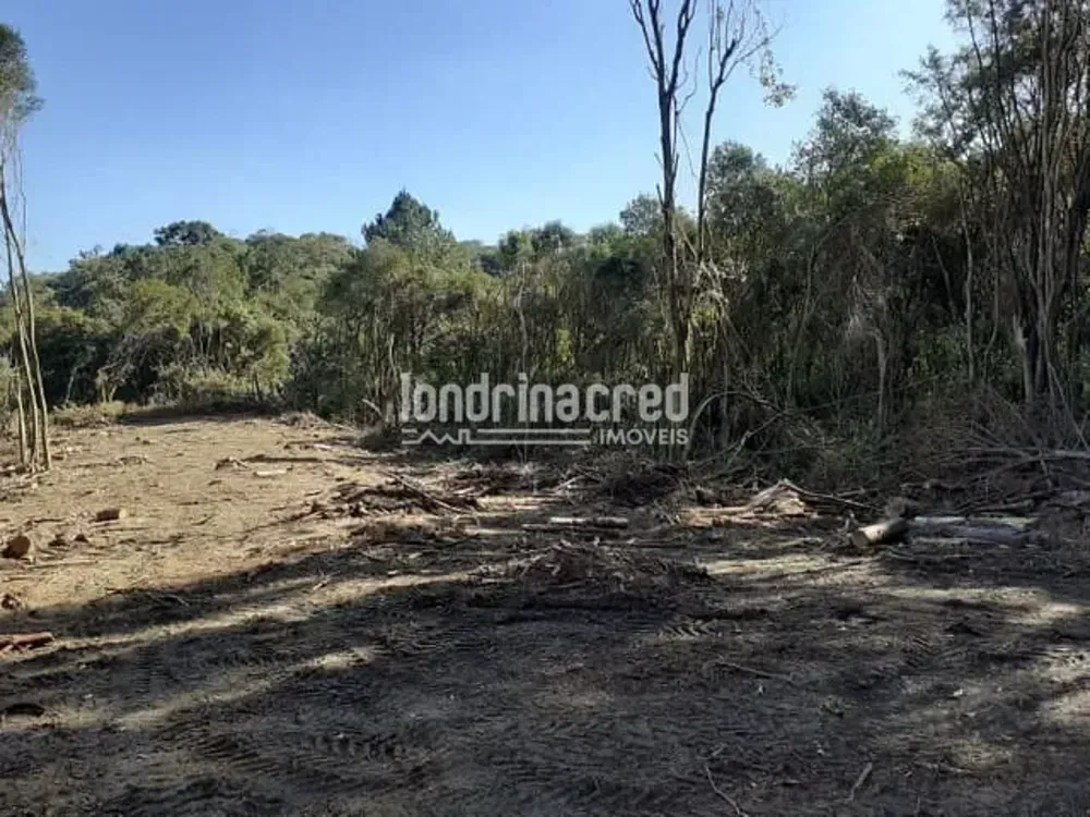 Terreno, 3 hectares - Foto 2