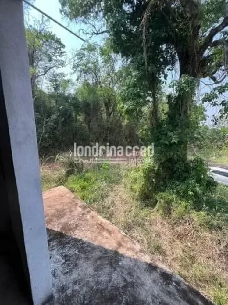 Chácara, 6 quartos, 5000 m² - Foto 6