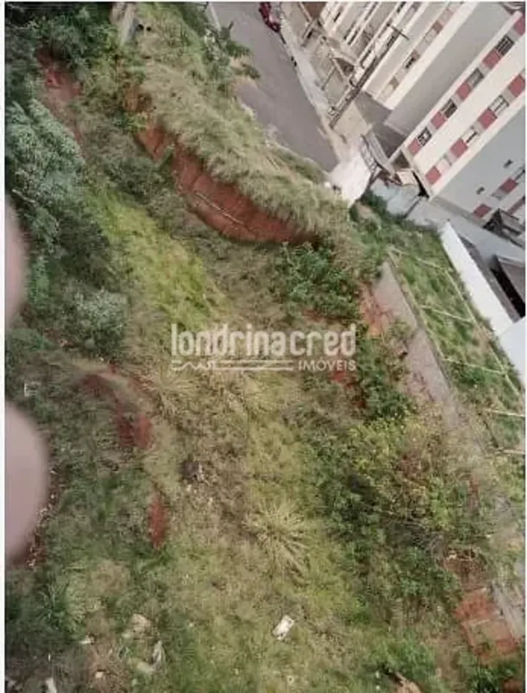Terreno, 1700 m² - Foto 2