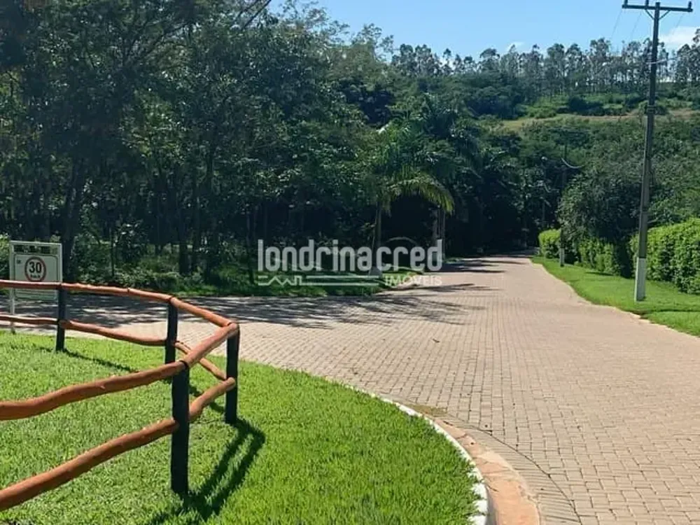Terreno, 4200 m² - Foto 4