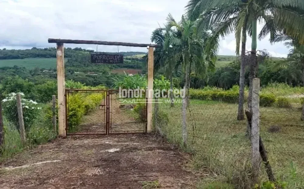 Chácara, 3 quartos, 5000 m² - Foto 10