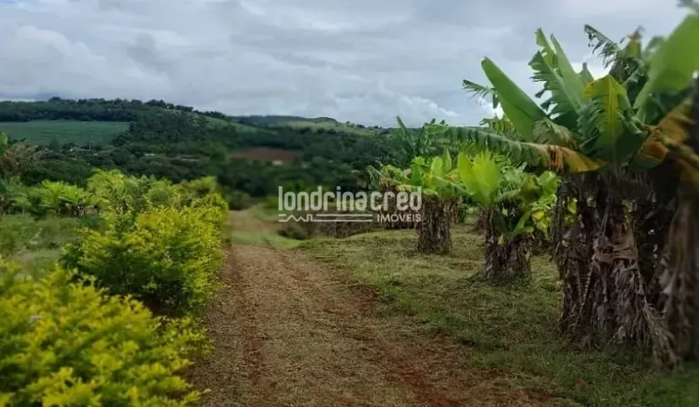 Chácara, 3 quartos, 5000 m² - Foto 11