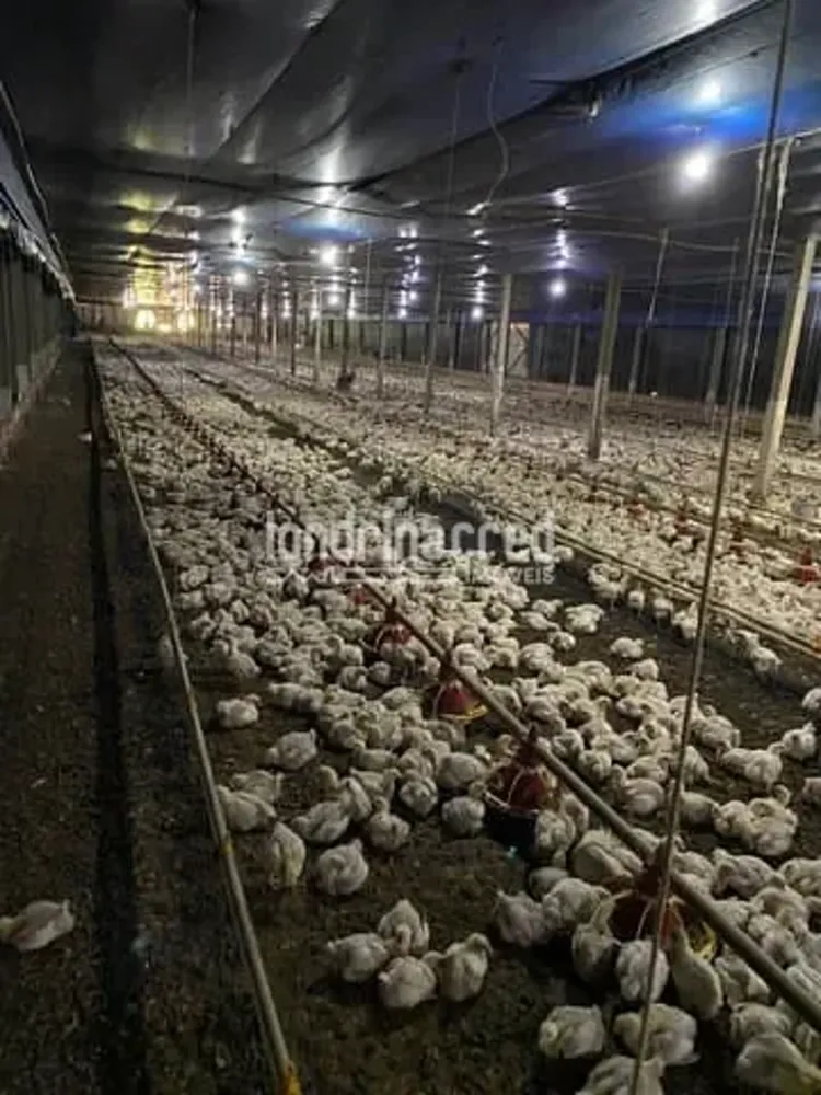 Fazenda, 10 m² - Foto 5