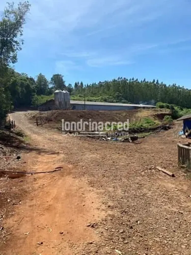 Fazenda, 10 m² - Foto 6