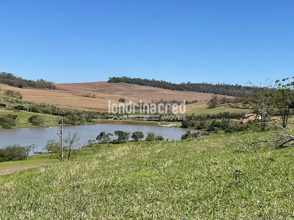 Terreno, 1519 m² - Foto 3