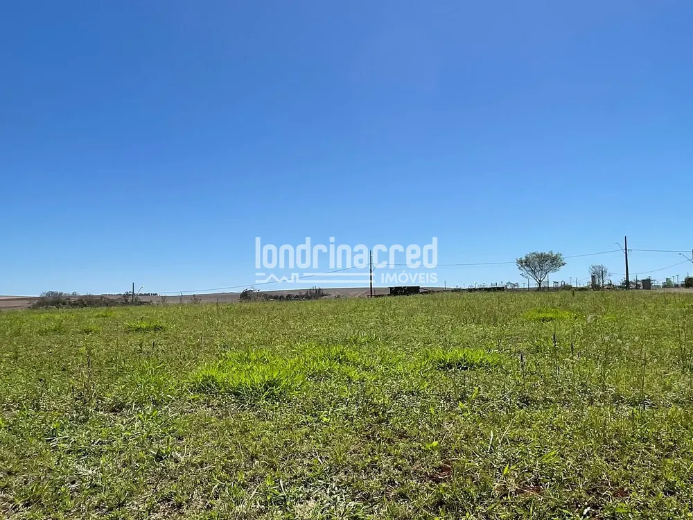 Terreno, 1519 m² - Foto 5