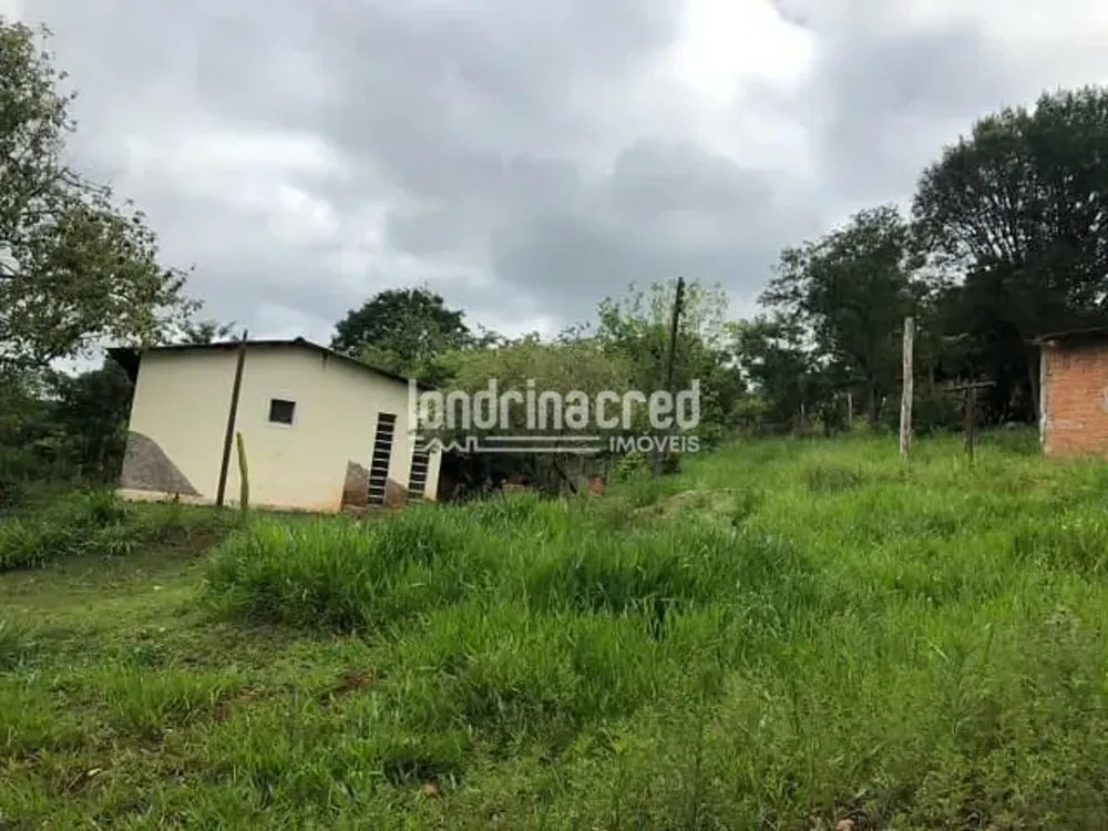 Chácara, 2 quartos, 5000 m² - Foto 3