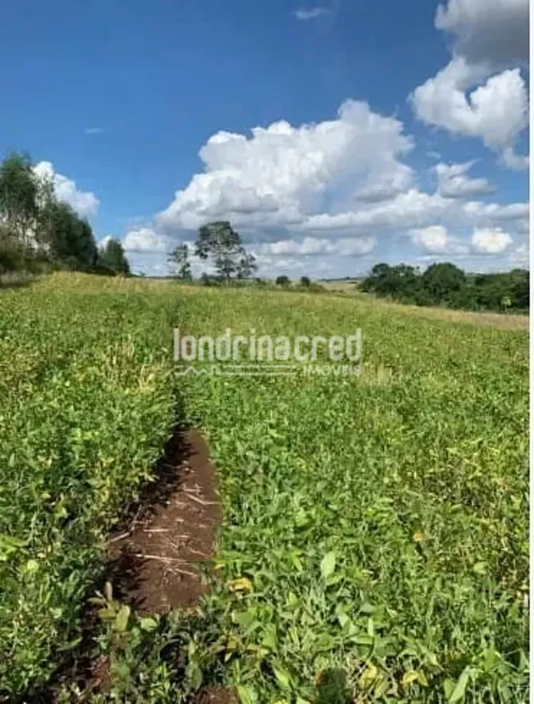 Sítio, 6 hectares - Foto 1