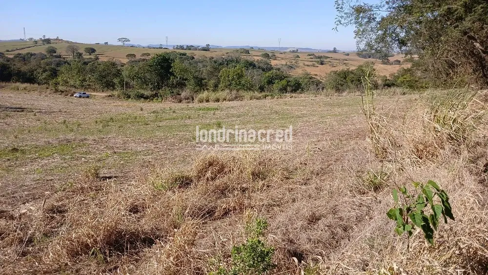 Sítio, 6 hectares - Foto 4
