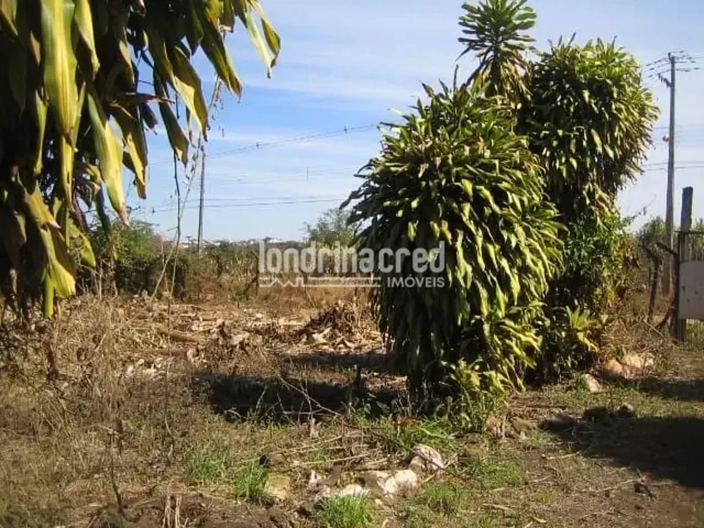 Terreno, 300 m² - Foto 2