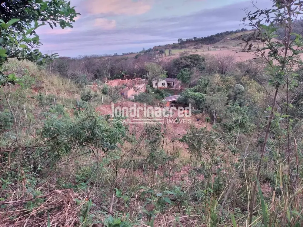 Chácara, 3 quartos, 10000 m² - Foto 2