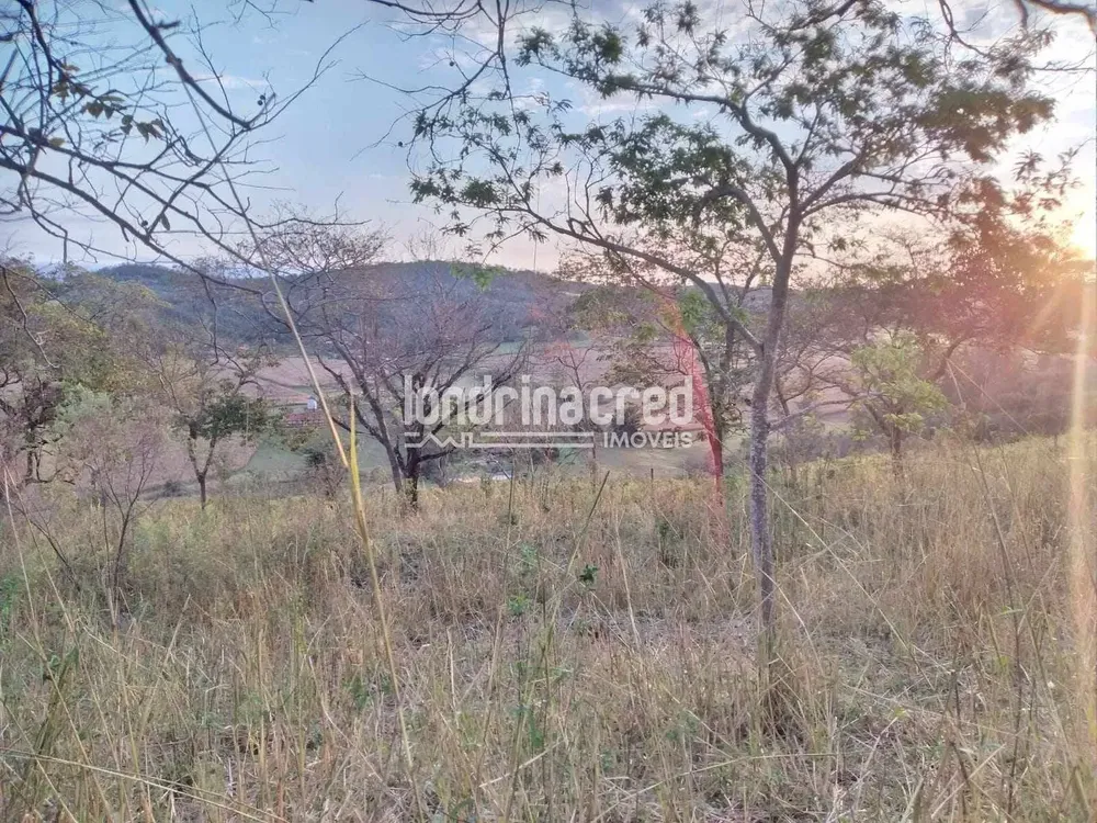 Chácara, 3 quartos, 10000 m² - Foto 4