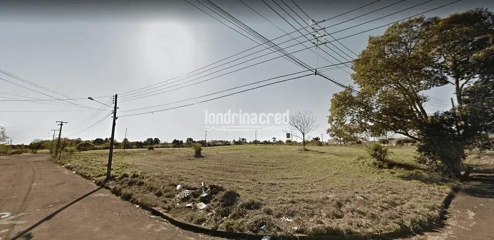 Terreno, 4850 m² - Foto 3