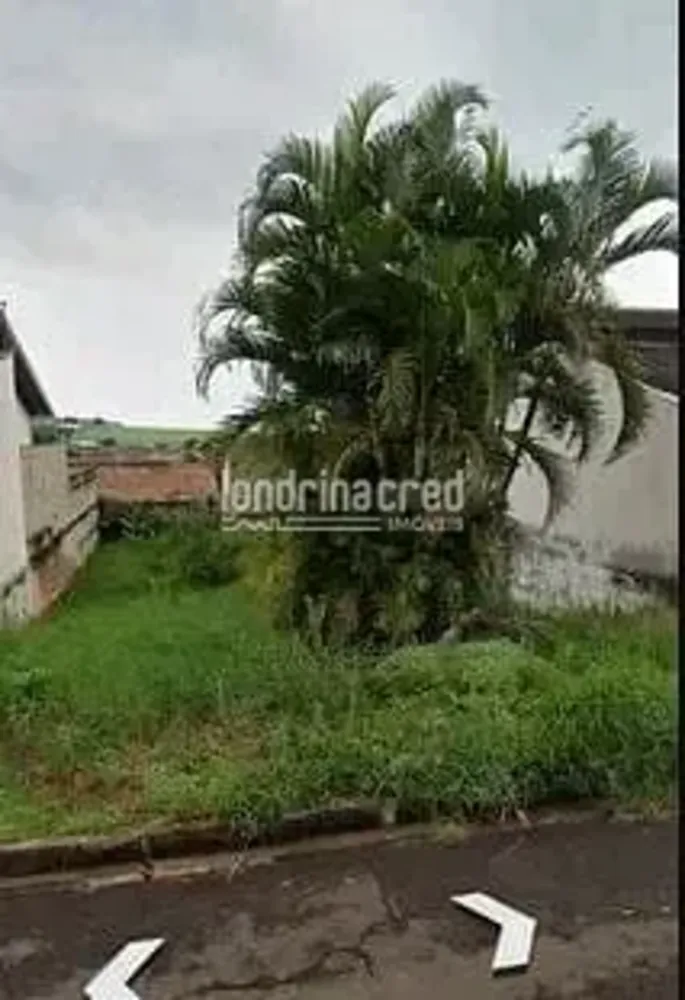 Terreno, 250 m² - Foto 1