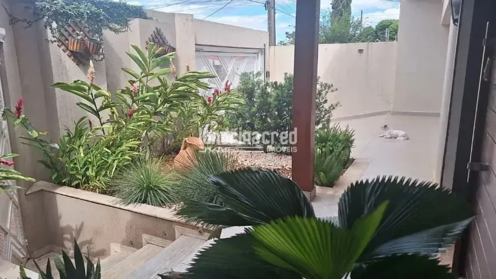 Casa, 3 quartos, 250 m² - Foto 12
