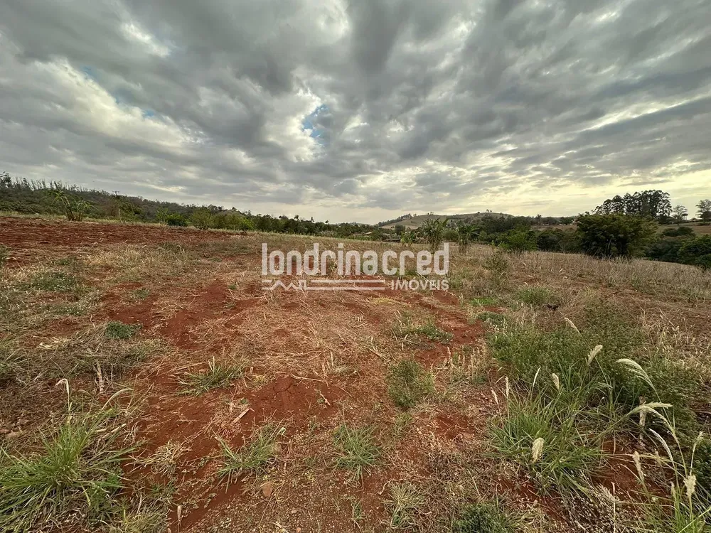 Terreno, 1000 m² - Foto 2
