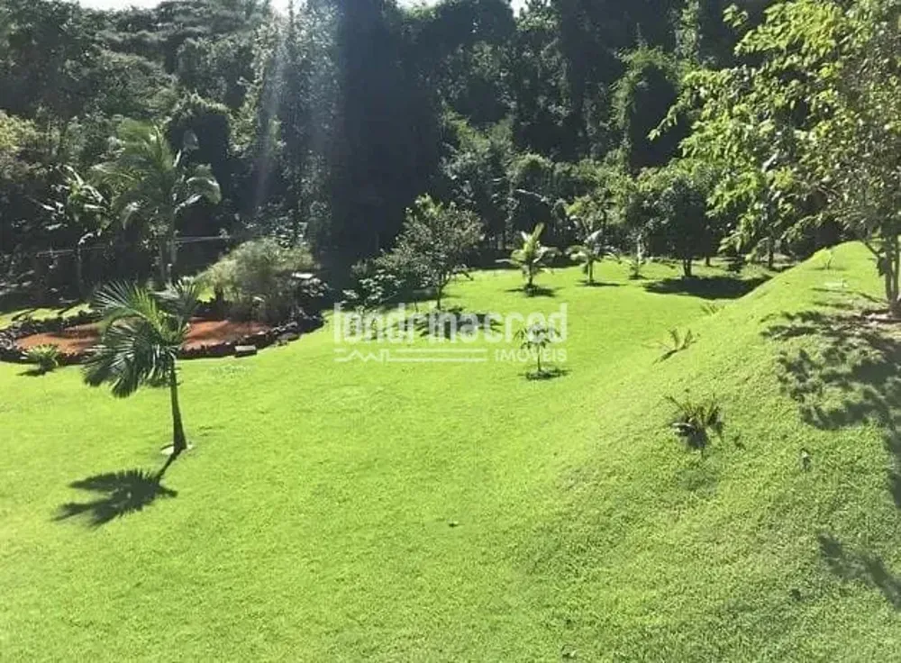 Chácara, 1 quarto, 4210 m² - Foto 4