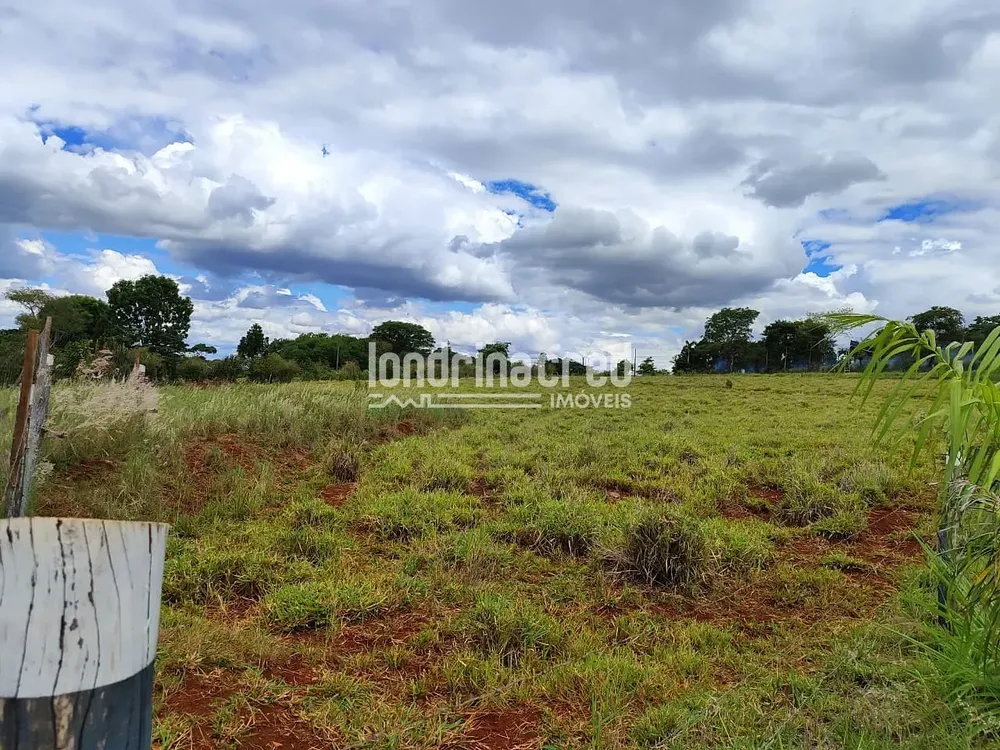 Chácara, 1 quarto, 1500 m² - Foto 1