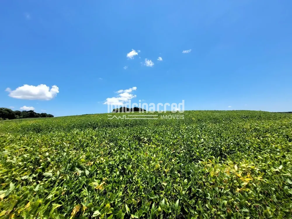 Sítio, 1 quarto, 17 hectares - Foto 1