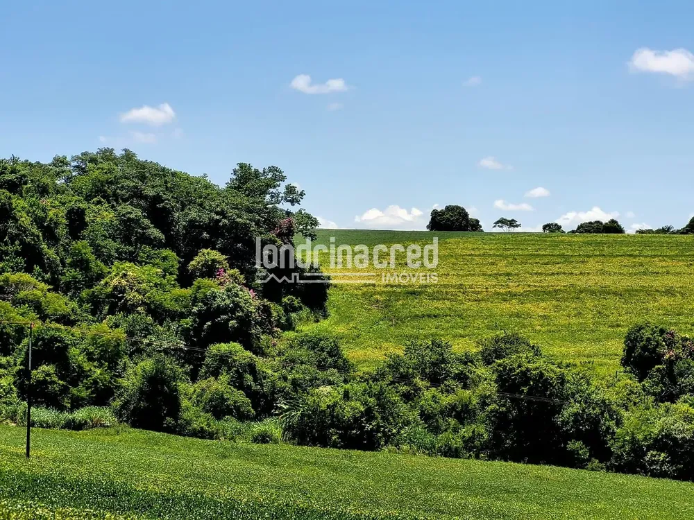 Sítio, 1 quarto, 17 hectares - Foto 4
