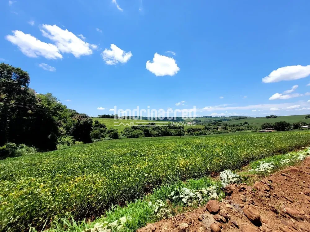 Sítio, 1 quarto, 17 hectares - Foto 8