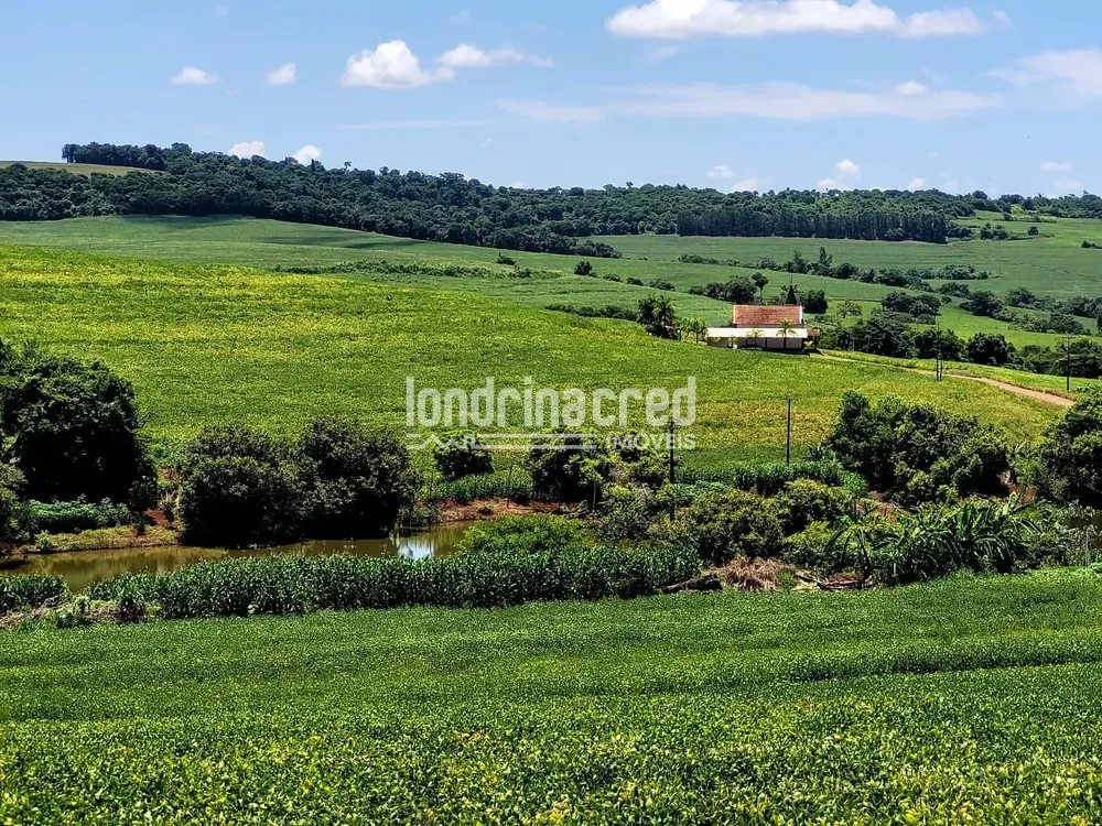 Sítio, 1 quarto, 17 hectares - Foto 6