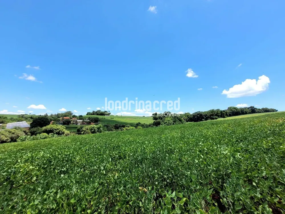 Sítio, 1 quarto, 17 hectares - Foto 2