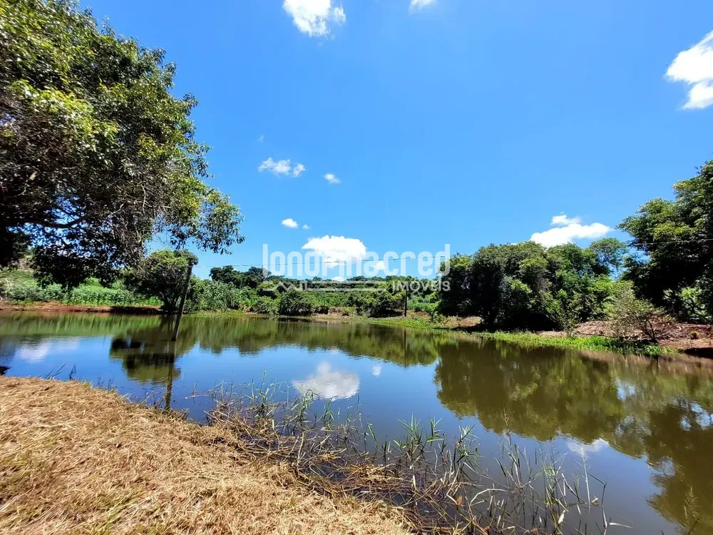Sítio, 1 quarto, 17 hectares - Foto 3