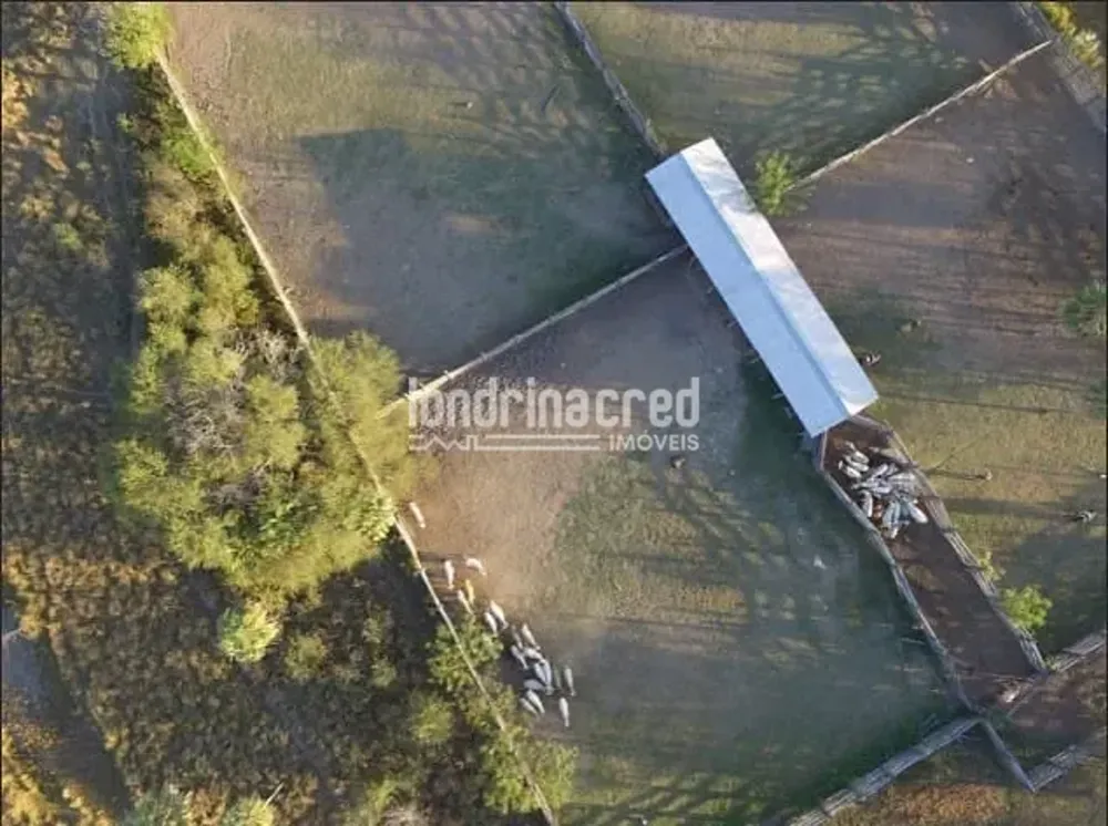 Fazenda, 10 m² - Foto 4