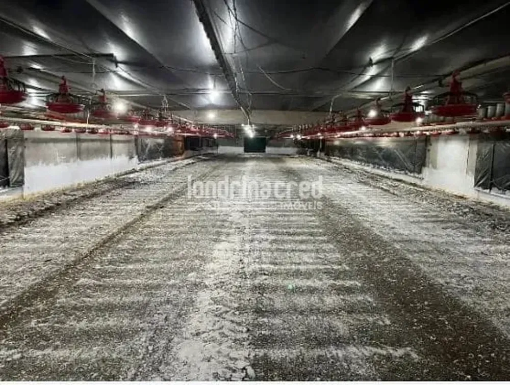 Fazenda, 10 m² - Foto 4