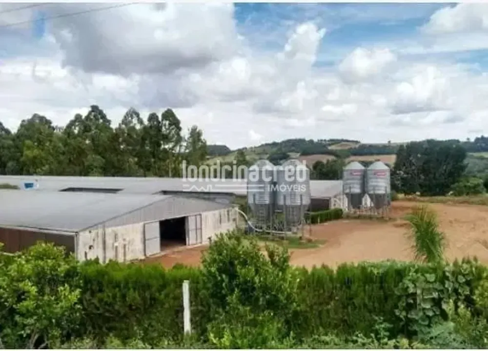 Fazenda, 10 m² - Foto 8