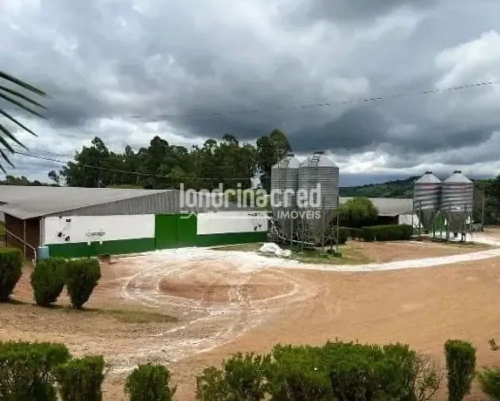 Fazenda, 10 m² - Foto 6