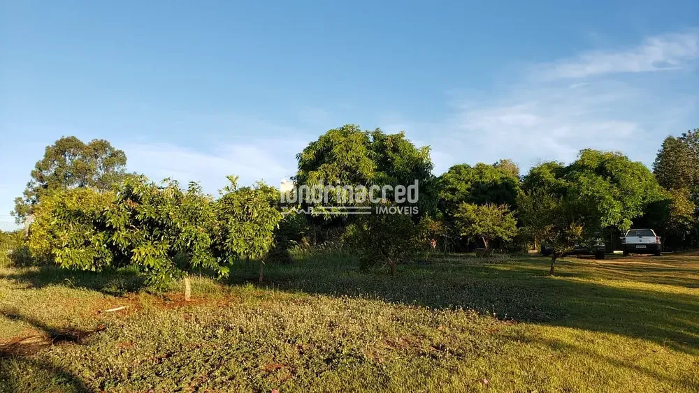 Chácara, 1 quarto, 2500 m² - Foto 3