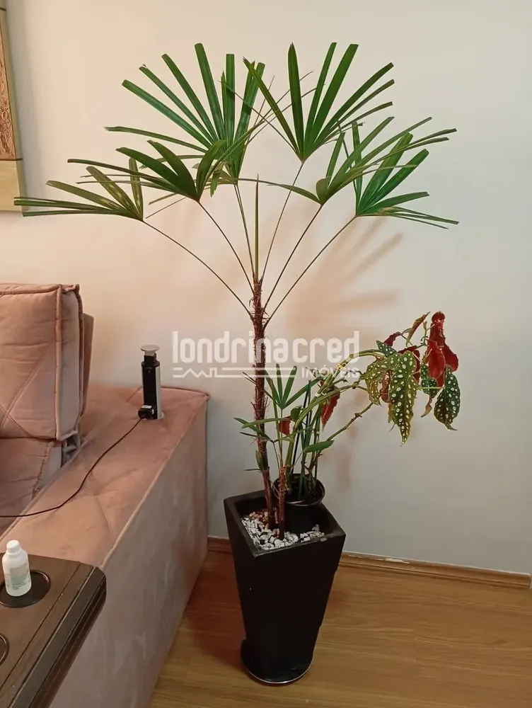 Apartamento, 2 quartos, 46 m² - Foto 9