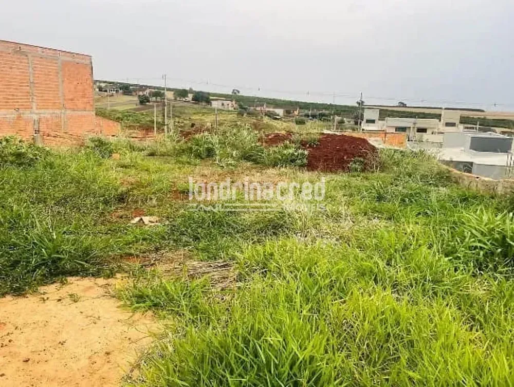 Terreno, 260 m² - Foto 4
