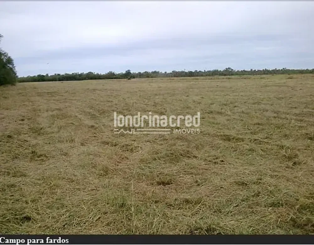 Fazenda, 10 m² - Foto 5