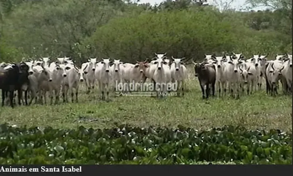 Fazenda, 10 m² - Foto 6