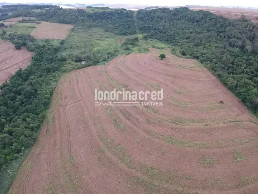 Terreno, 2 hectares - Foto 2