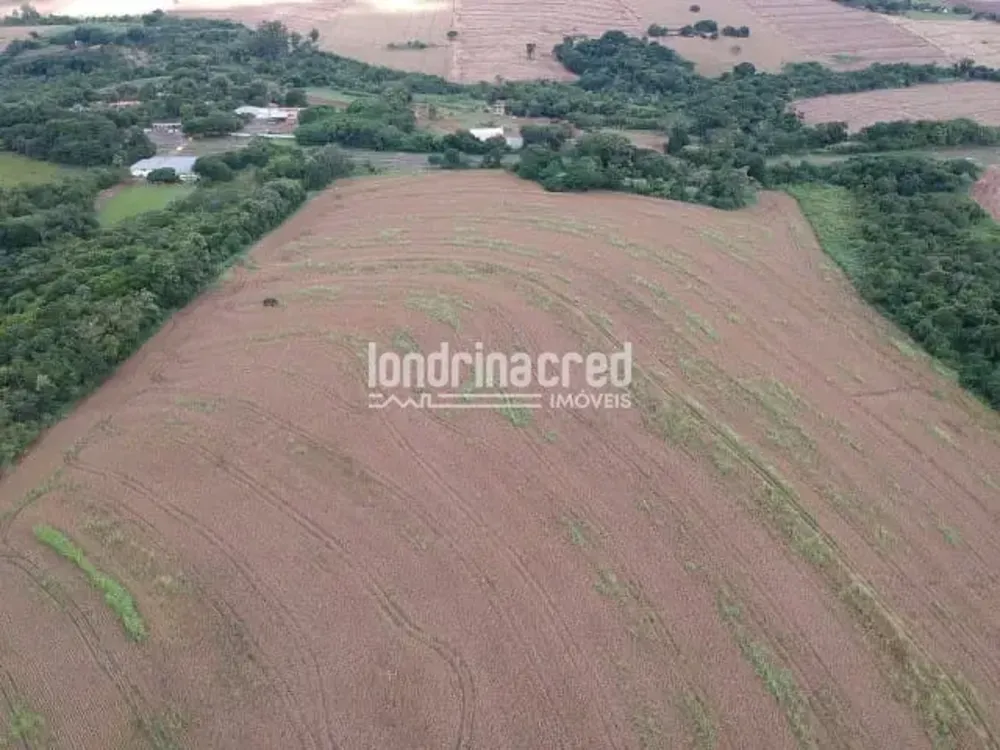 Terreno, 2 hectares - Foto 3
