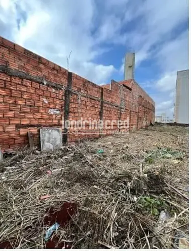 Terreno, 250 m² - Foto 2