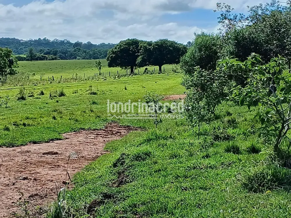 Sítio, 12 hectares - Foto 2